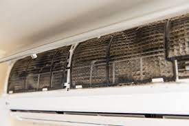 mold inside your air conditioning unit