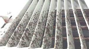 mold inside your air conditioning unit